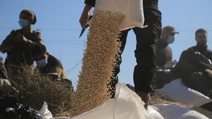 Captagon pills seized in Damascus. (Photo: Picture Alliance/ Anadolu /Hisam Hac Omer) A man poors thousands of white pills onto the floor from a bag.